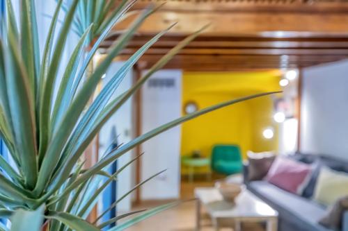 Apartamento Dúplex Juramento & Descanso en el Casco Antiguo, Córdoba (fotografie 7)