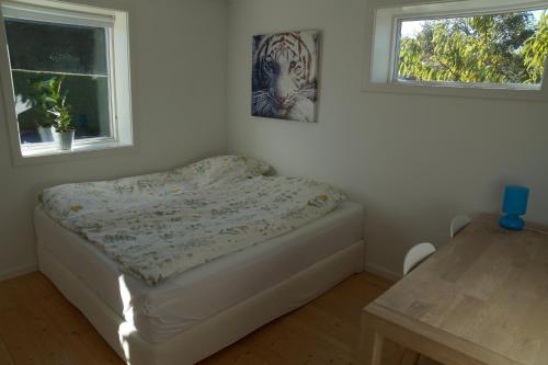 Plus Energy House in Herlufmagle