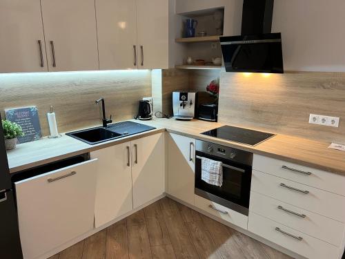 Marijas Apartment with Comfort for 5, Riga (foto 7)