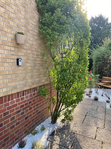 Sonniges Studio in Rheine Nähe Zentrum Sonniges Studio in Rheine Nähe Zentrum