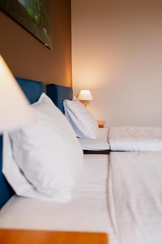 Comfort Hotel Kuldiga - image 6