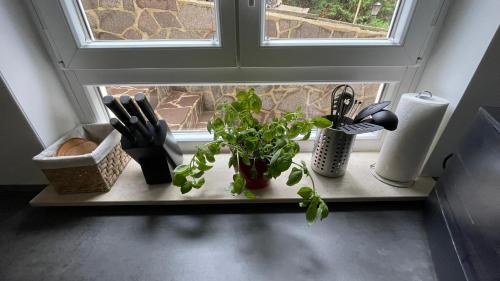Ferienwohnung Sonnenschein in وينهيم