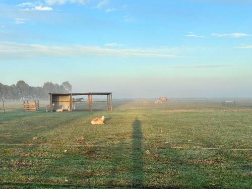 Tiny Rescue Retreat by Tiny Away