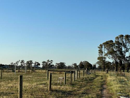 Tiny Rescue Retreat by Tiny Away