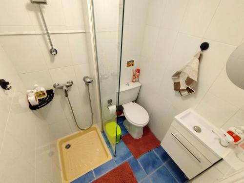 Private Room in Shared Apartment in the Center of Nice, Nice (fotografie 9)