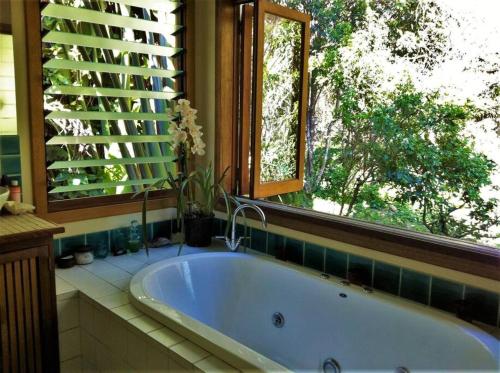Tropical 2 bedroom home with private pool in New Brighton