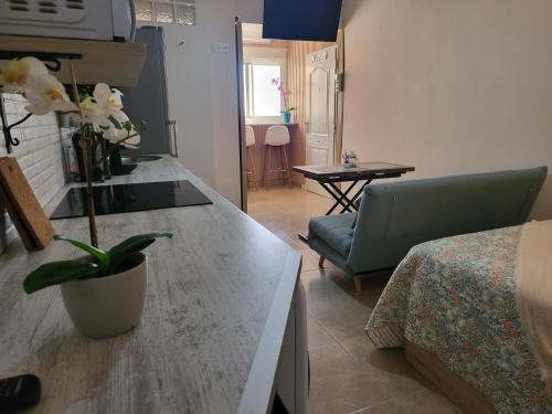 Studio Castillo del Vigia 5
