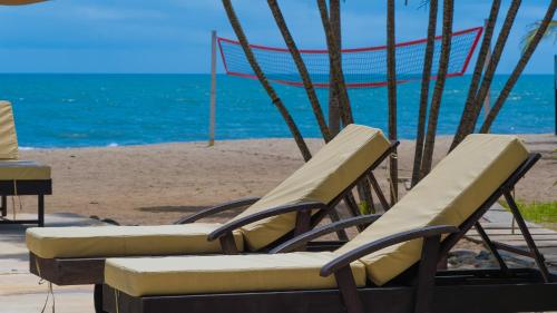 Coconuco Beach Palomino