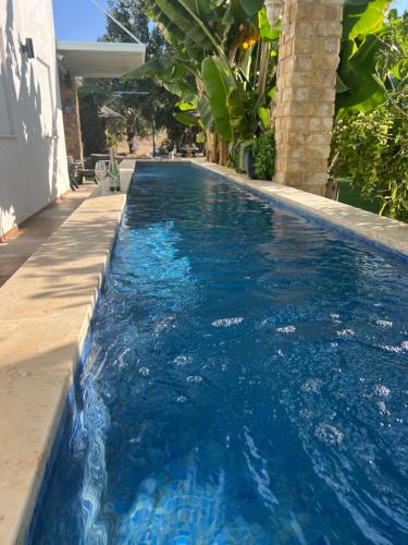 הסוויטה הפנורמית - Panoramic Suite in Gidona