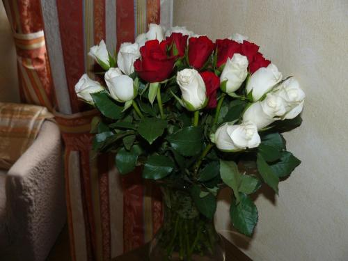 Hotel Opat