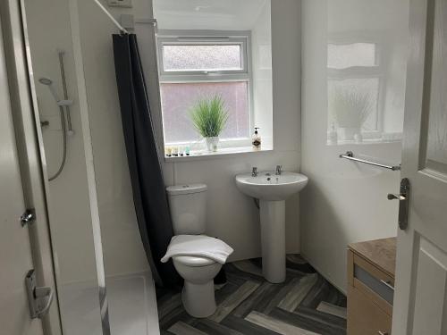 New Derina Hotel Room Type - Standard Apartment