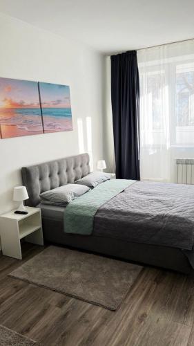 Grey & White Apart, Винница