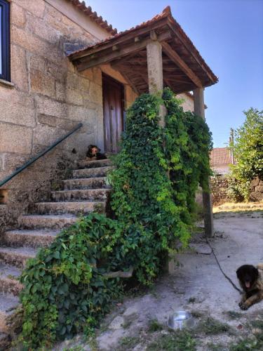 Casal da Gata gîte à louer Benavente
