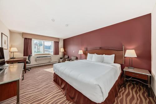 Standard King Room