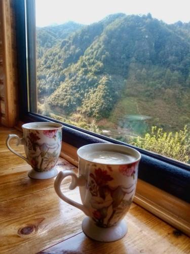 Amiras Dağevi (Amiras Dagevi) in Fındıklı