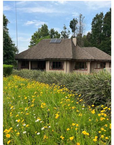 Champagne Valley Resort Unit 2 Champagne Valley Resort Unit 2