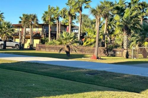 Casa de Palmeras in Galveston, USA