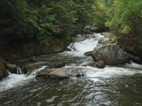 Little River Retreat in Sparta, USA