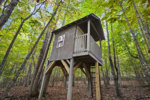 Creekside Hideaway in Todd, USA