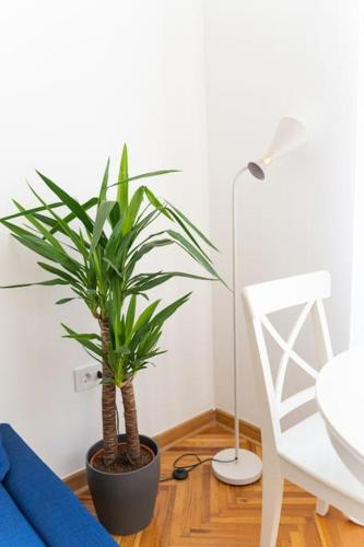 One-Bedroom Apartment image 3