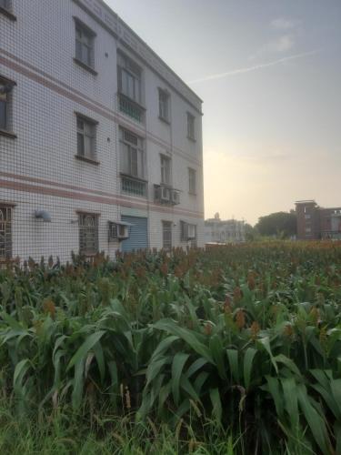 浦钦民宿 浦钦民宿