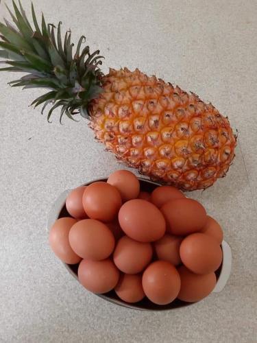 浦钦民宿 浦钦民宿