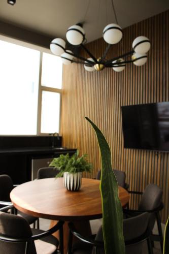 One-Bedroom Apartment image 9