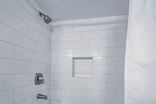 Sea Forever. Sea Forever.