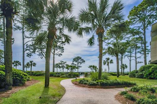 Sea Forever. Sea Forever.