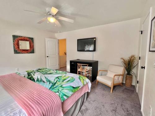 Chic and Modern - Walk to UofA