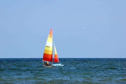 Sea Forever. Sea Forever.