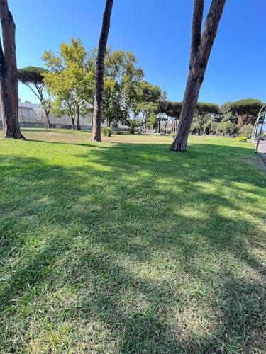 Ipponatte 29 Roma Casal Palocco