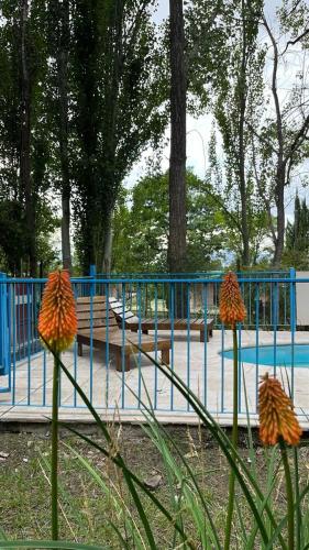 El Pinar Potrerillos in El Salto (Mendoza)