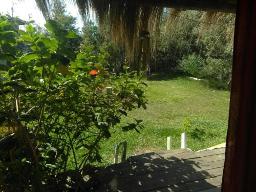 cabañasurfcamp (cabanasurfcamp) in 拉佩德雷拉