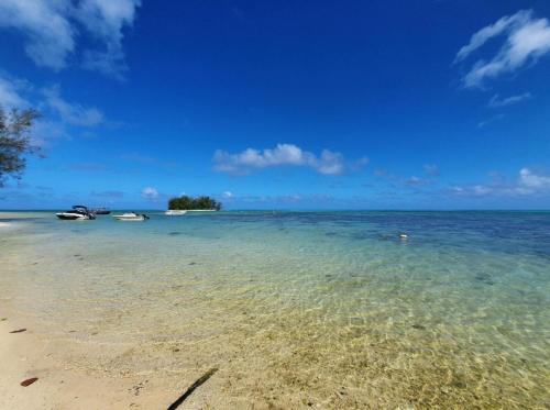 MOOREA - Tropical Bungalow, Hauru