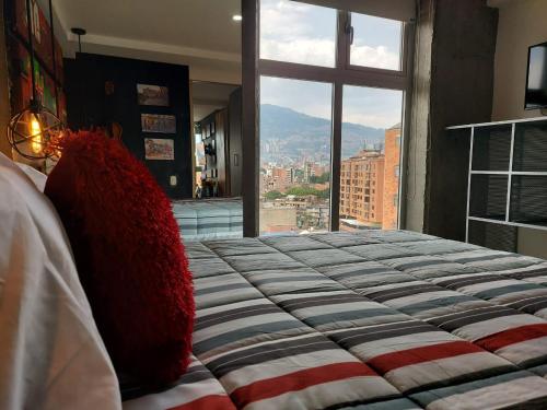 One-Bedroom Apartment image 10