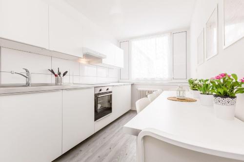 廚房, Fully Equipped Apartments with Balcony in 多爾馬根