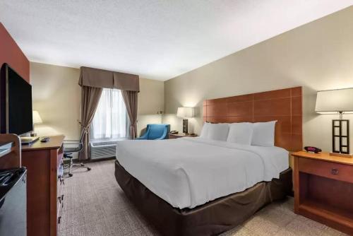 Comfort Inn Civic Center - image 11