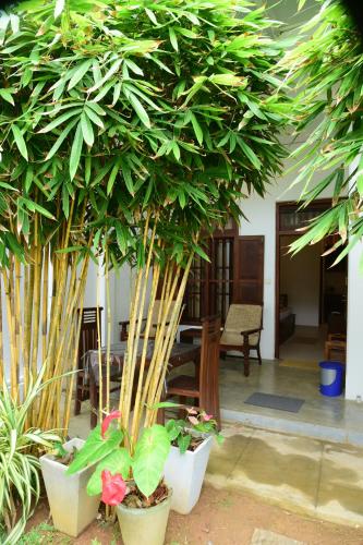 Tranquil Villa - image 2