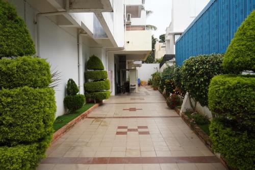 Golden Bells - image 3