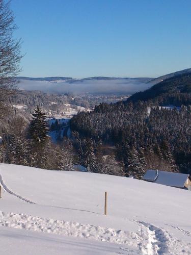 Schwarzwald-Chalet Feldberg - image 13