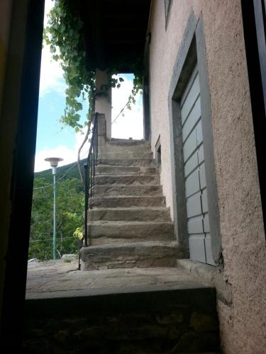 Coletti Pietro snc in Vagli Sotto