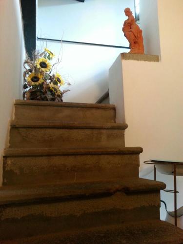 Coletti Pietro snc in Vagli Sotto