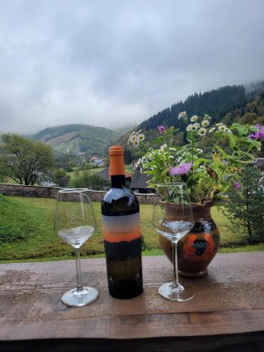 Vaade, RALPH Cabin- Apuseni Mountains, Transylvania in Bucium
