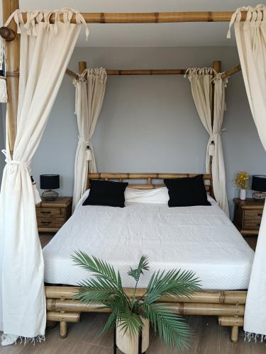 1 double bed, 1 sofa bed