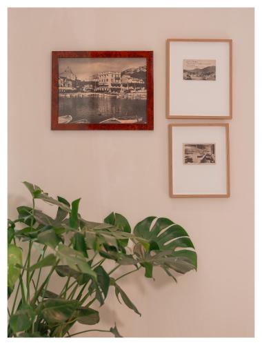 Hotel Liautaud - image 12