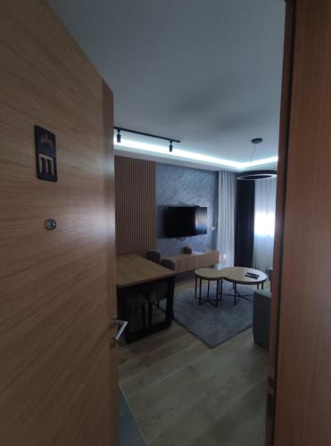 One-Bedroom Apartment image 10