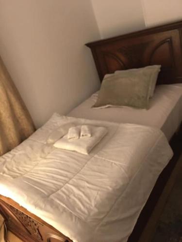 2BR Apt in Nasr City Near downtown, Káhira