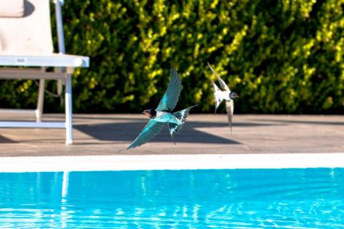 Affittacamere Campus Trigoria - image 7