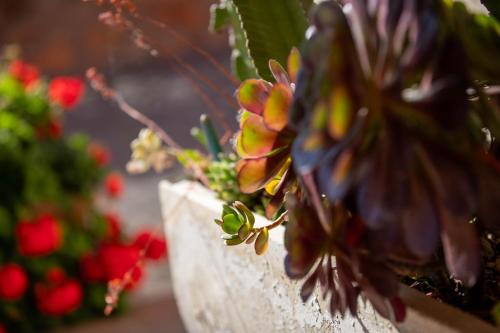 Affittacamere Campus Trigoria - image 2